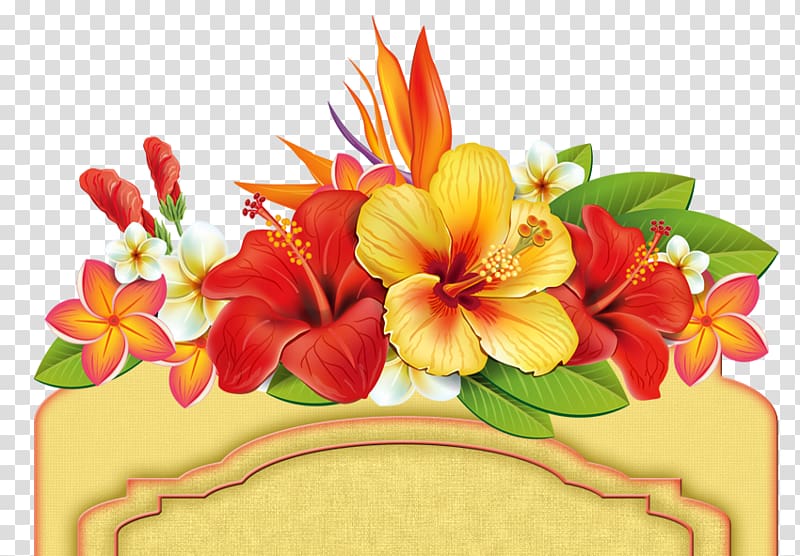 , design transparent background PNG clipart | HiClipart