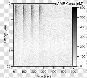 Paper Angle Font, design transparent background PNG clipart thumbnail