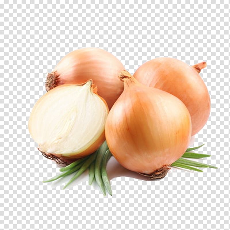 Potato onion Vegetable Food Yellow onion, onion transparent background PNG clipart