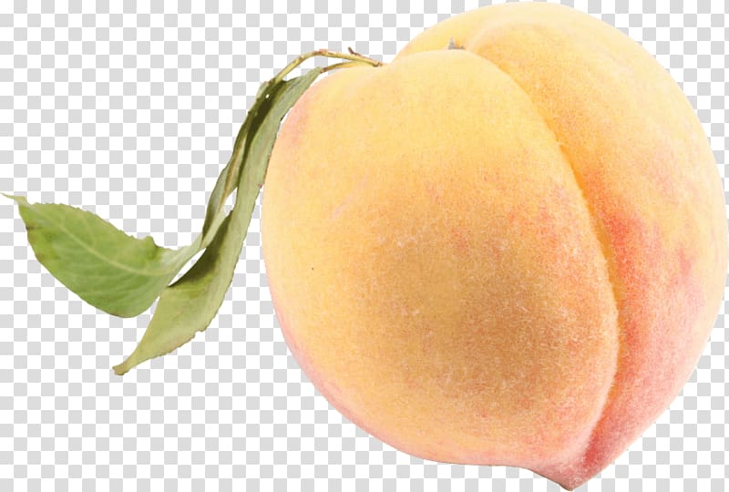 resolution , longevity peach transparent background PNG clipart