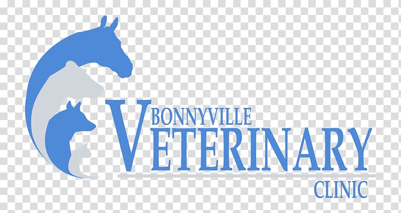 Logo Horse Veterinarian Clinique vétérinaire Bonnyville Veterinary Clinic, horse transparent background PNG clipart