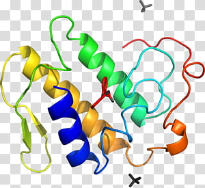 Line Point Organism , line transparent background PNG clipart thumbnail