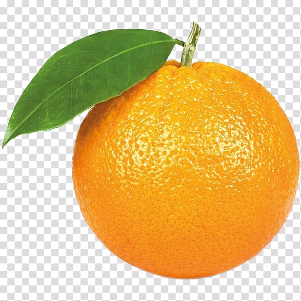 Orange juice Citrus × sinensis Mandarin orange, orange transparent background PNG clipart