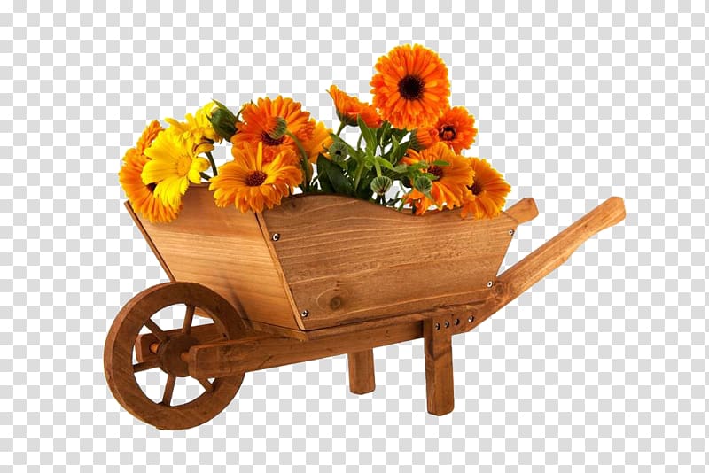 Wheelbarrow Flower Marigold , Marigolds and trolleys transparent background PNG clipart