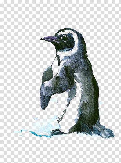 Penguin Bird Antarctic Drawing Painting, penguin transparent background PNG clipart