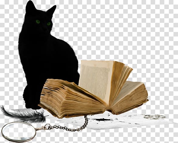 halloween black cat vintage books transparent background PNG clipart