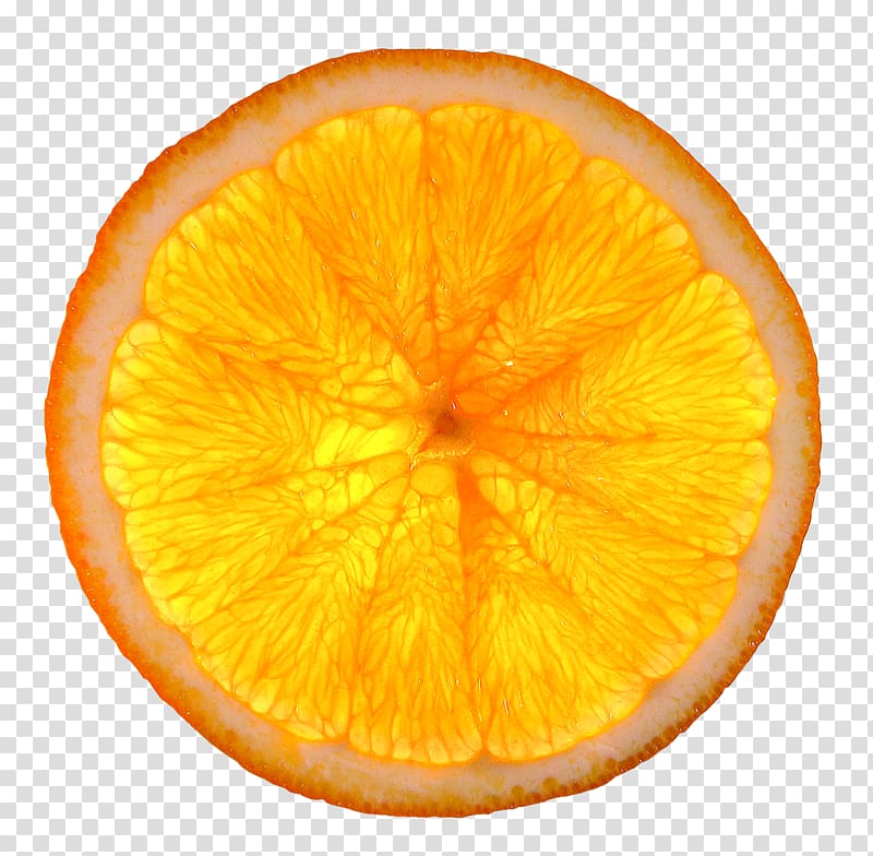 Orange slice Citrus Health Quesadilla, orange transparent background PNG clipart