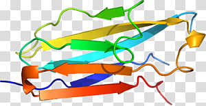 Line Point , line transparent background PNG clipart thumbnail