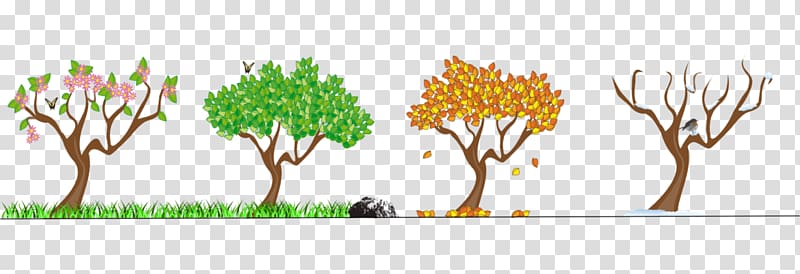 Season Winter Autumn Summer Spring, others transparent background PNG clipart
