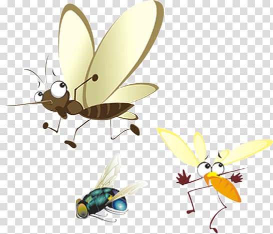Butterfly Aedes Mosquito , Mosquito transparent background PNG clipart