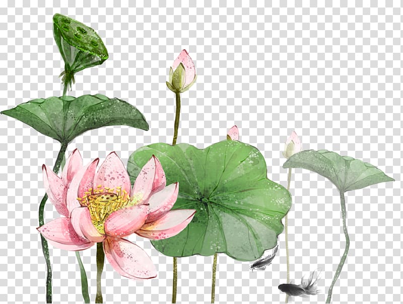 Nelumbo nucifera China Festival, Free hand drawn lotus decorative patterns transparent background PNG clipart