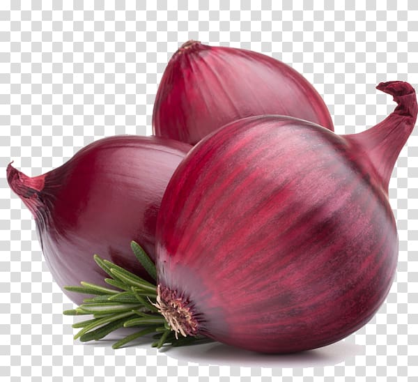 Red onion Vegetable, onion transparent background PNG clipart