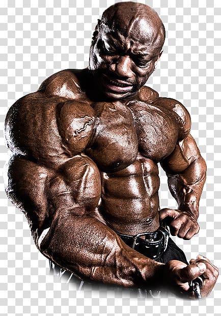 Mr. Olympia Bodybuilding Male Arnold Classic Dexter Jackson, spray tan transparent background PNG clipart