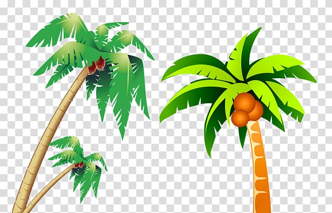 Coconut Tree, Cartoon version of coconut tree transparent background PNG clipart