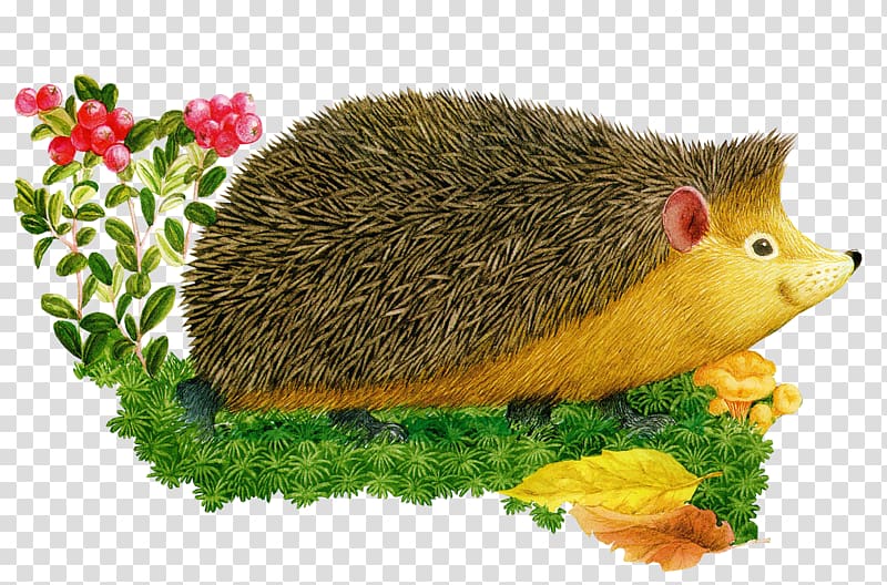 Hedgehog Cartoon Child , hare transparent background PNG clipart