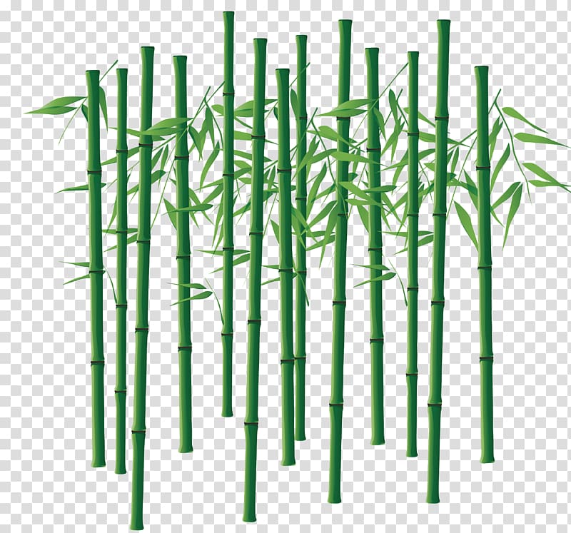 Bamboo Bamboe Computer file, Hand-painted bamboo material transparent background PNG clipart