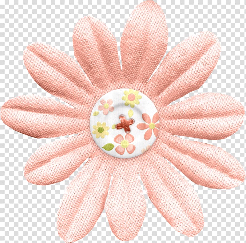 Nail Hand model Close-up Transvaal daisy, Nail transparent background PNG clipart