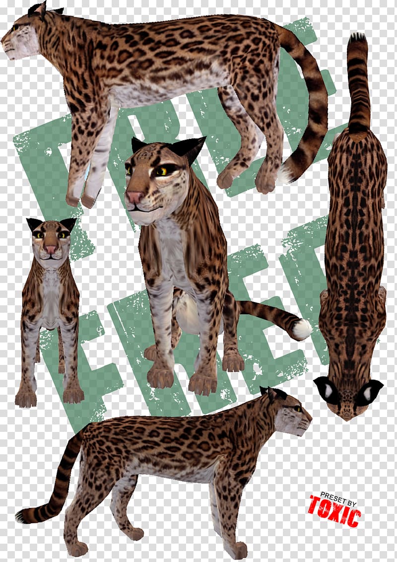 Big cat Ocelot Cheetah Terrestrial animal, Cat transparent background PNG clipart