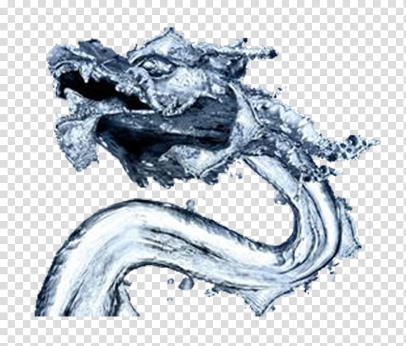 Dragon High-definition television , Chinese water dragon transparent background PNG clipart