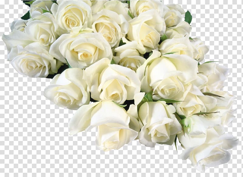 Flower bouquet Garden roses White, bouquet of flowers transparent background PNG clipart