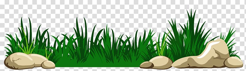 , Grass with Rocks , animated green grass transparent background PNG clipart