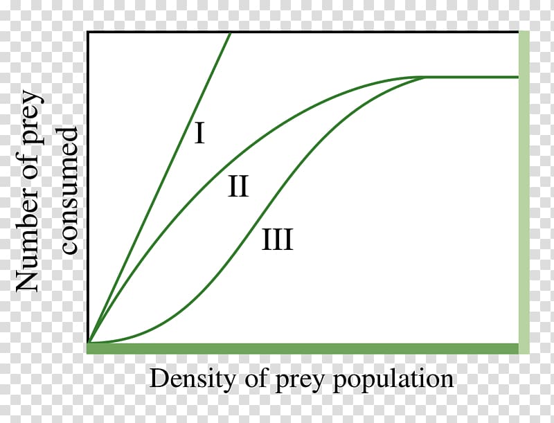 Functional response Exponential function Exponential growth Ecology, Mathematics transparent background PNG clipart