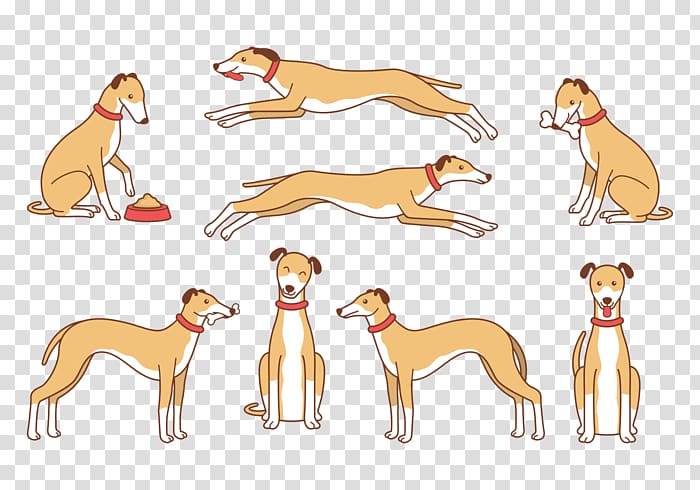 Italian Greyhound Whippet Spanish greyhound Azawakh Sloughi, others transparent background PNG clipart