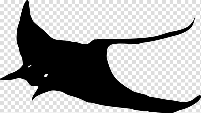 Myliobatoidei Manta ray , Silhouette transparent background PNG clipart