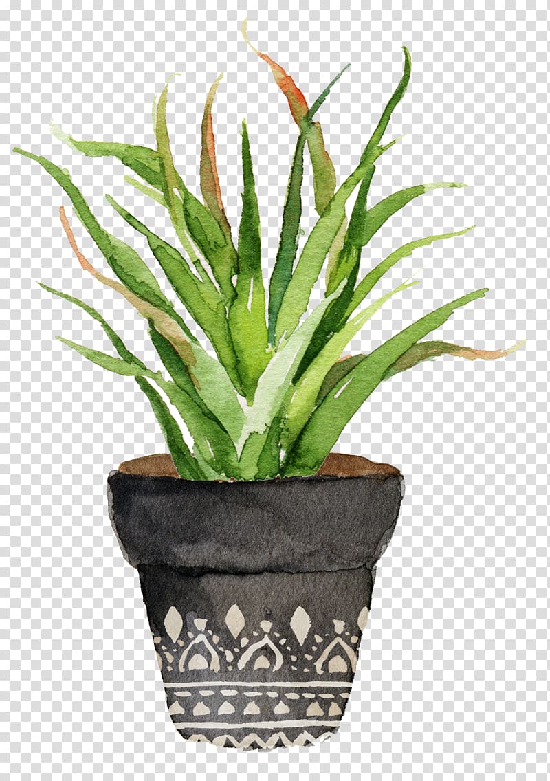 green leafed plant with gray pot painting, Watercolor painting Cactaceae Printing Printmaking, Potted aloe transparent background PNG clipart