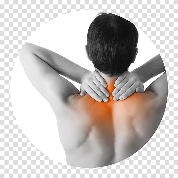 Massage Manual therapy Sports injury, health transparent background PNG clipart