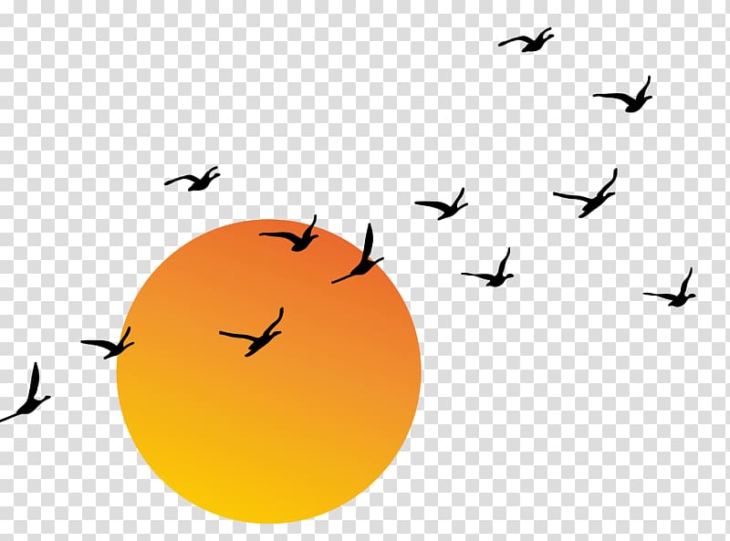 silhouette of birds flying and sun , Sunset Euclidean , sunset transparent background PNG clipart