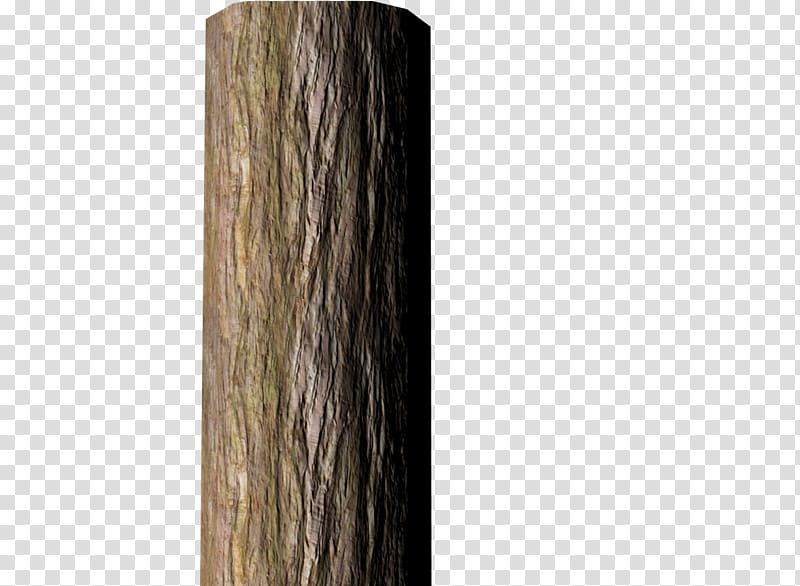 Wood Tree stump Trunk Bark, tree bark transparent background PNG clipart