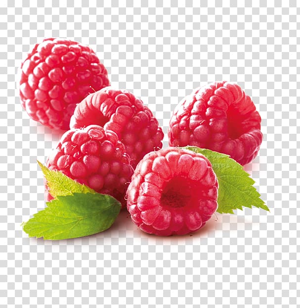 Raspberry Loganberry Yoghurt Tayberry Smoothie, raspberry transparent background PNG clipart