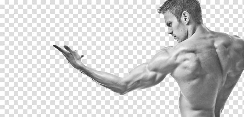 Men\'s Fitness Physical fitness Muscle & Fitness Bodybuilding Desktop , bodybuilding transparent background PNG clipart