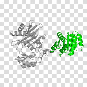 Line Angle, line transparent background PNG clipart thumbnail