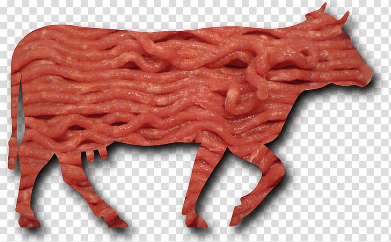Cattle University of California, San Diego Red meat Lamb and mutton Hot dog, hot dog transparent background PNG clipart