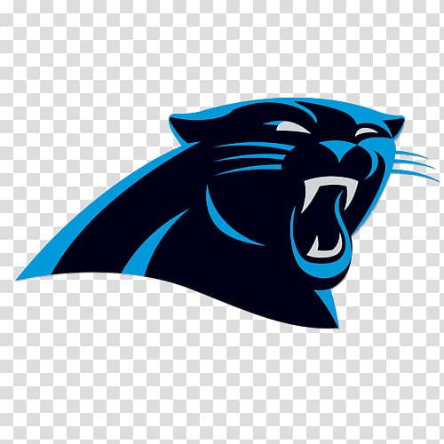 2018 Carolina Panthers season NFL 2017 Carolina Panthers season Charlotte, NFL transparent background PNG clipart