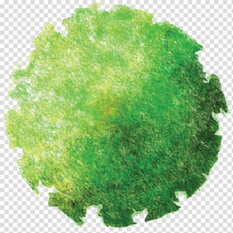Green Landscape Architecture Site Plan Tree Tree Top View Transparent Background Png Clipart Hiclipart