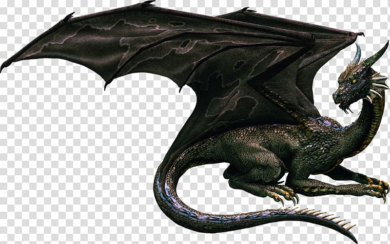 Loved by the Dragon Collection , dragon transparent background PNG ...