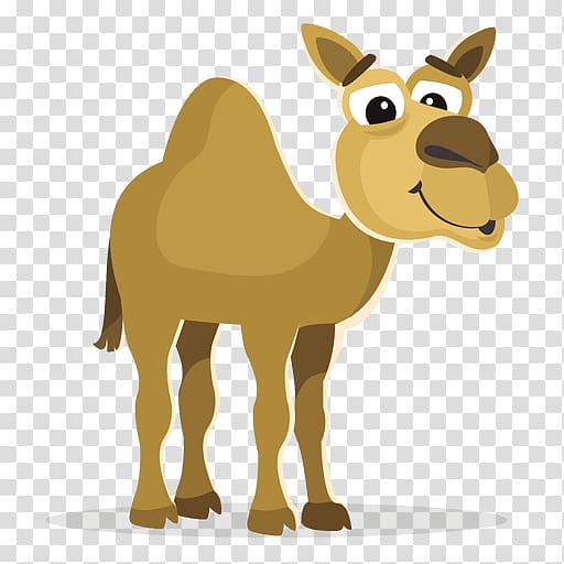 Bactrian camel Dromedary , camel cartoon transparent background PNG clipart