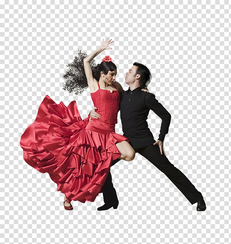 Flamenco on the Global Stage: Historical, Critical and Theoretical Perspectives Flamenco! Dance Book, passion transparent background PNG clipart