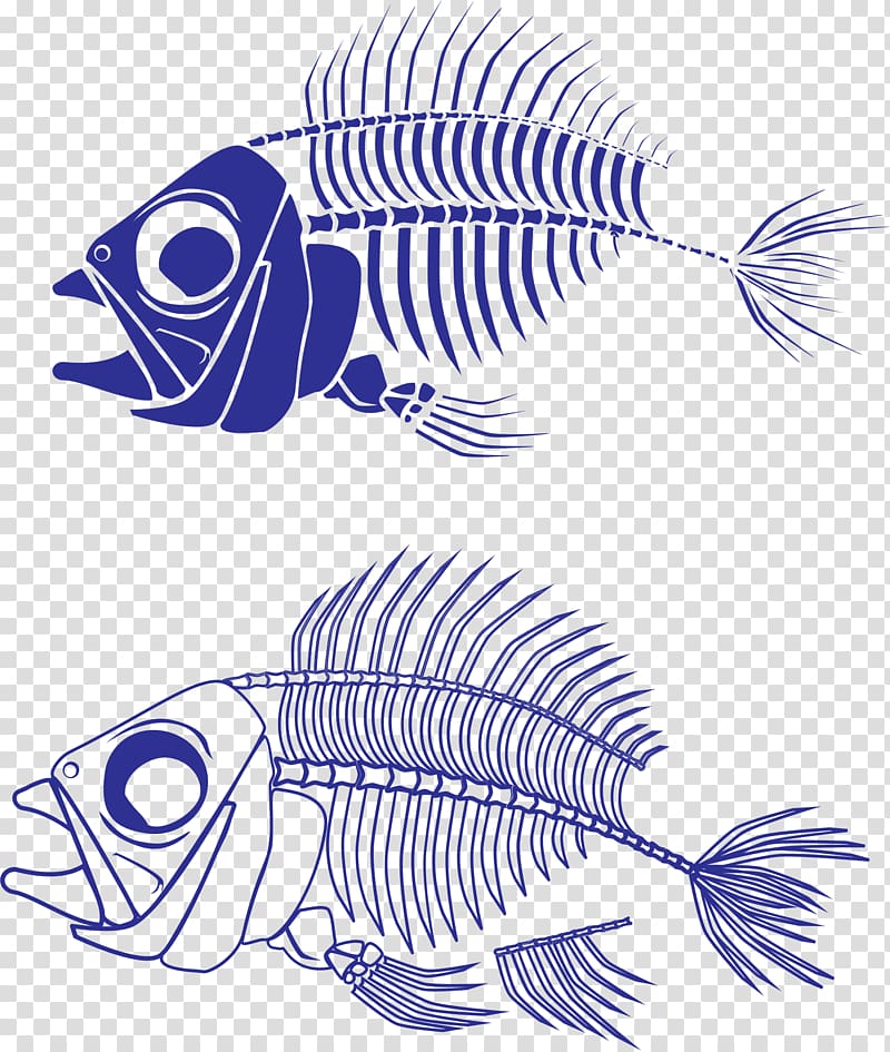 Fish bone Skeleton , Skeleton transparent background PNG clipart
