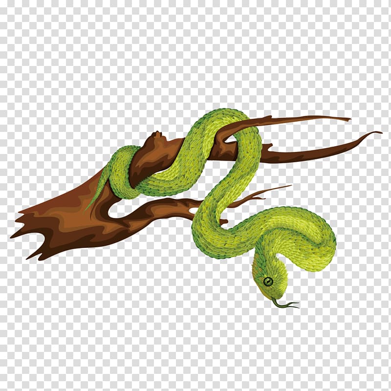 Snake Vipers , Snake wrapped around the wood transparent background PNG clipart
