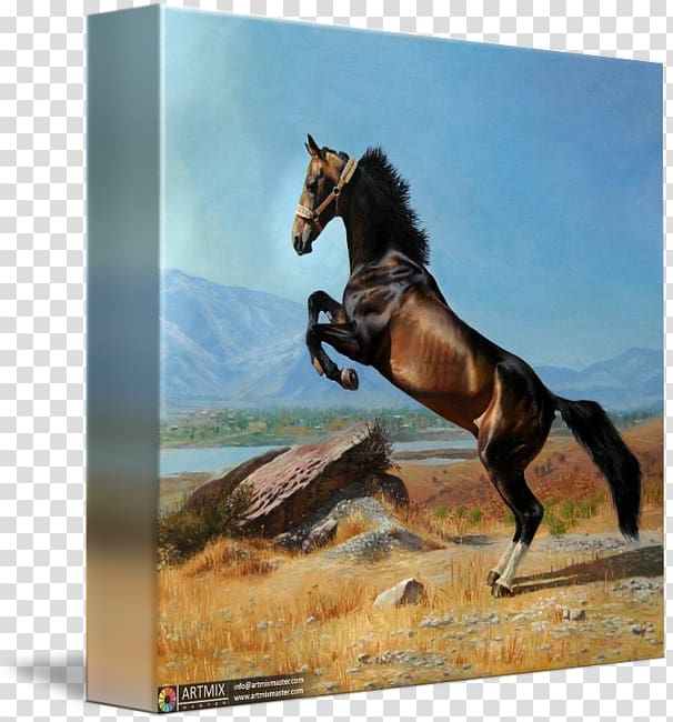 Akhal-Teke painting Mustang Tashkent, painting transparent background PNG clipart