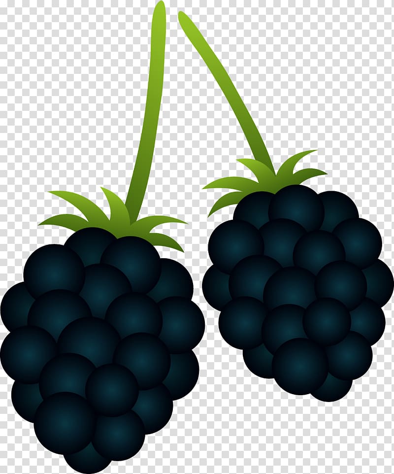 BlackBerry Priv BlackBerry Passport , Blackberry transparent background PNG clipart