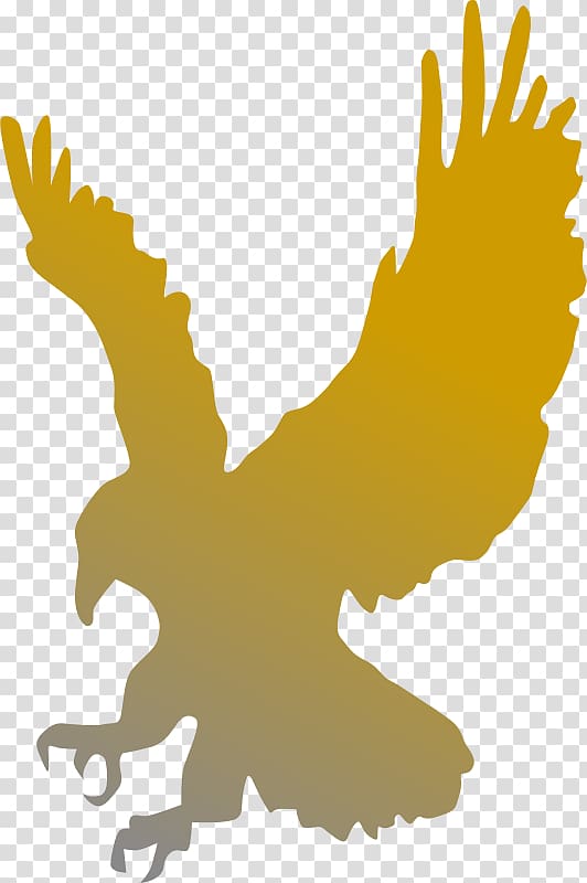 Bald Eagle , Gradient Golden Eagles transparent background PNG clipart