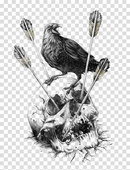 gray bird and skull illustration, Calavera Carlsberg Fjord Human skull symbolism Illustration, crow transparent background PNG clipart