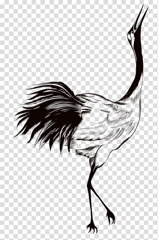 hand-painted red-crowned crane transparent background PNG clipart