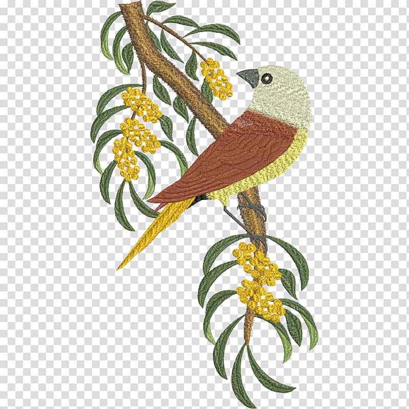 Australian king parrot Bird Beak Embroidery, parrot transparent background PNG clipart