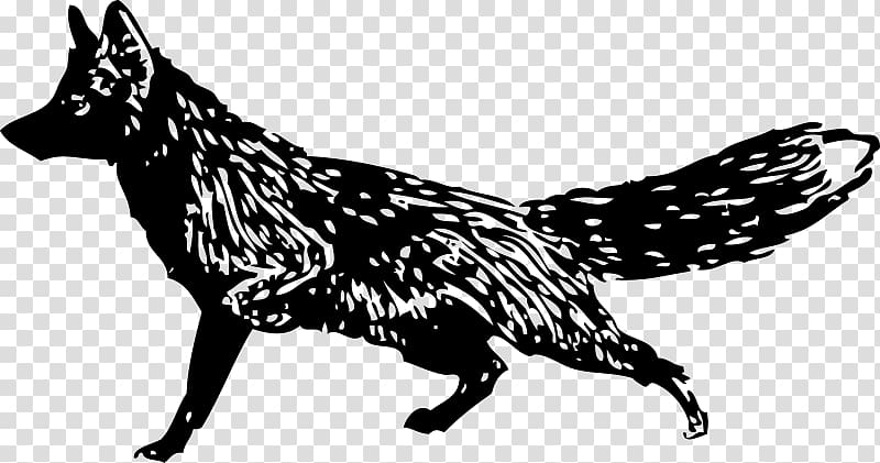 Arctic fox Black and white , arctic fox transparent background PNG clipart